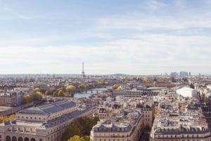 Discover Paris in Style: Private Guided Walking Tour