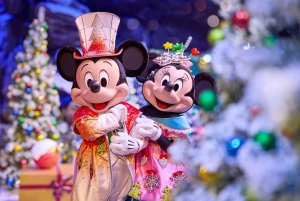 Disneyland, inträdesbiljett med transfer från Eiffeltornet