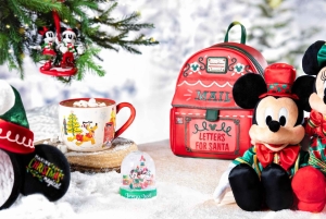 Disneyland, inträdesbiljett med transfer från Eiffeltornet