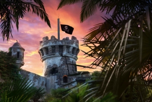 Disneyland, inträdesbiljett med transfer från Eiffeltornet