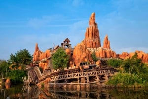 Disneyland® Paris 1-Day Ticket