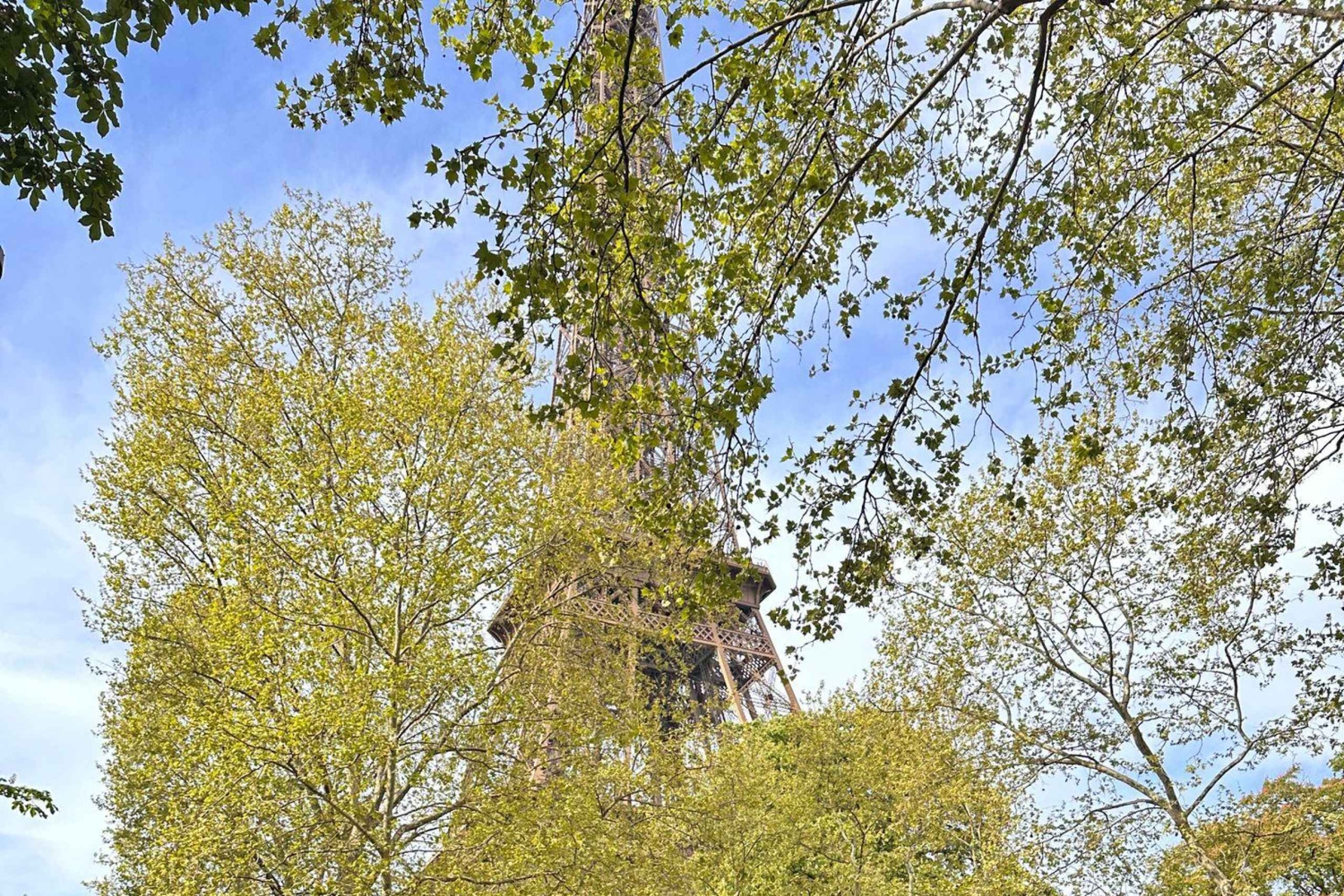 Wieża Eiffla z dostępem do szczytu i 2. piętra - wycieczka z przewodnikiem