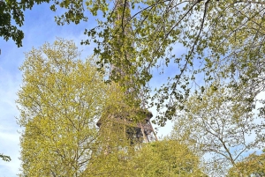 Wieża Eiffla z dostępem do szczytu i 2. piętra - wycieczka z przewodnikiem