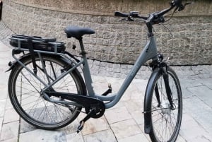 Paris : E-bike rental in Le Marais (City Center)