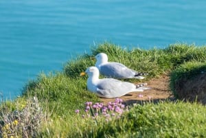 Étretat Cliffs & Rouen Christmas Magic – Exclusive Day Tour