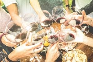 Exclusive Wine Day Trip Loire Valley from Paris