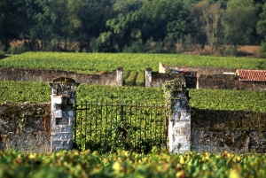 Excursión de un día exclusiva al Valle del Loira desde París