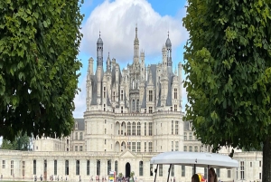 Excursión de un día exclusiva al Valle del Loira desde París