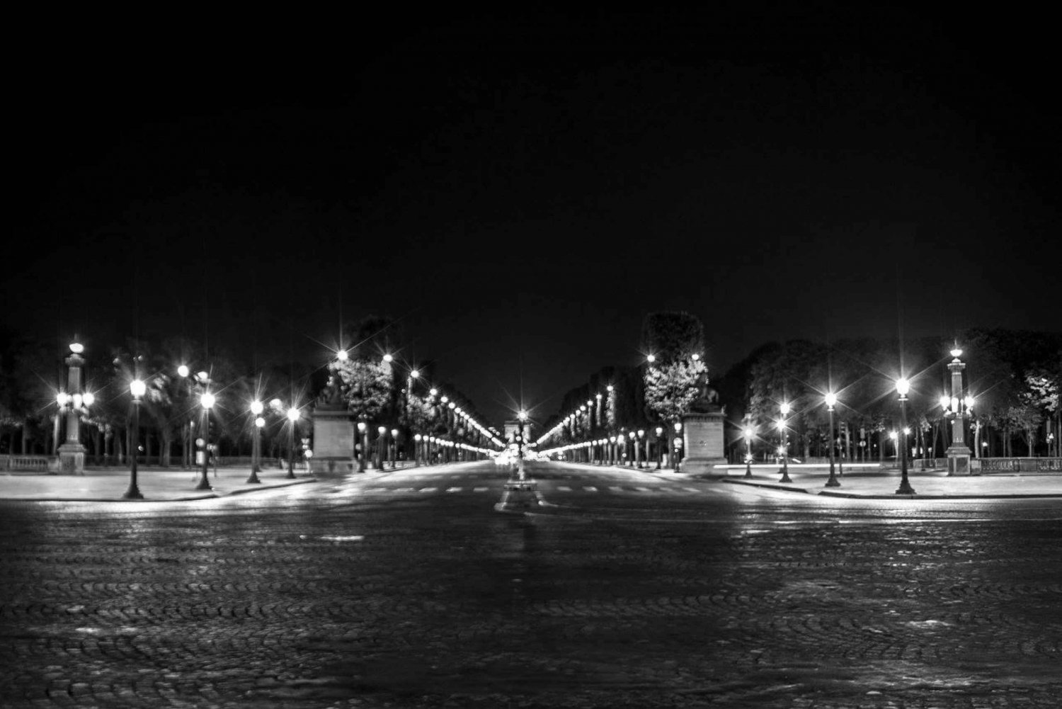 Best of Paris on Private Tour