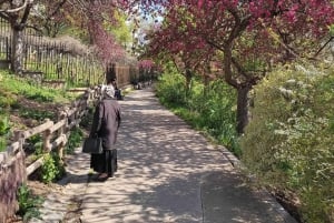 Explorando Belleville: Cultura parisina&Creatividad en movimiento