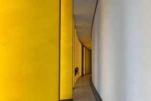 Fondation Louis Vuitton: Vuitton Vuitton: Lippu sisäänpääsy & Yksityinen kierros