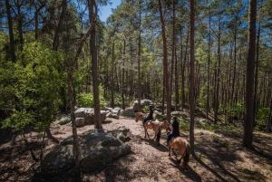 Fontainebleau : Ratsastus, gastronomia ja linna (Château)