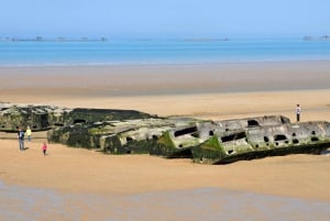 From Paris: 2-Day Normandy & Brittany Tour