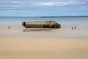 Da Parigi: tour di 2 giorni in Normandia e Bretagna