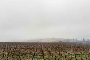 De Paris: Visita às adegas da região da Borgonha com provas