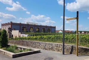 Z Paryża: wycieczka po piwnicach szampana i winnicach oraz degustacja