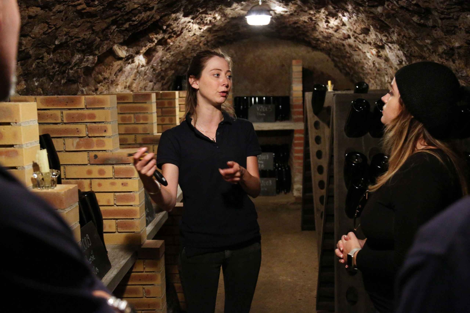 De Paris: Viagem de 1 dia a Champagne com 7 provas e almoço