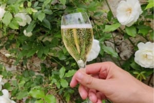Au départ de Paris : Excursion d'une journée au champagne avec 7 dégustations et un déjeuner