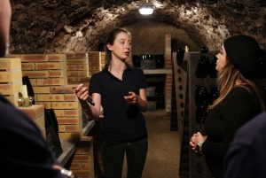 De Paris: Viagem de 1 dia a Champagne com 7 provas e almoço