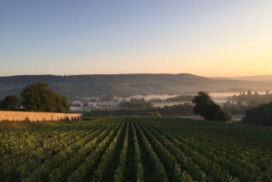 De Paris: Viagem de 1 dia a Champagne com 7 provas e almoço