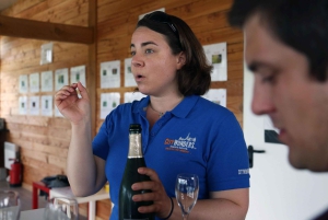 De Paris: Viagem de 1 dia a Champagne com 7 provas e almoço