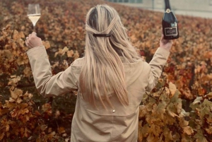 De Paris: Viagem de 1 dia a Champagne com 7 provas e almoço