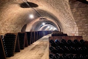 From Paris: Champagne Day Trip with 7 Tastings and Lunch