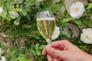 From Paris: Champagne Day Trip with 7 Tastings and Lunch