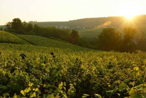 Au départ de Paris : Excursion d'une journée au champagne avec 7 dégustations et un déjeuner