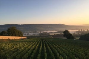 Z Paryża: Szampańska wycieczka 1-dniowa z 7 degustacjami i lunchem