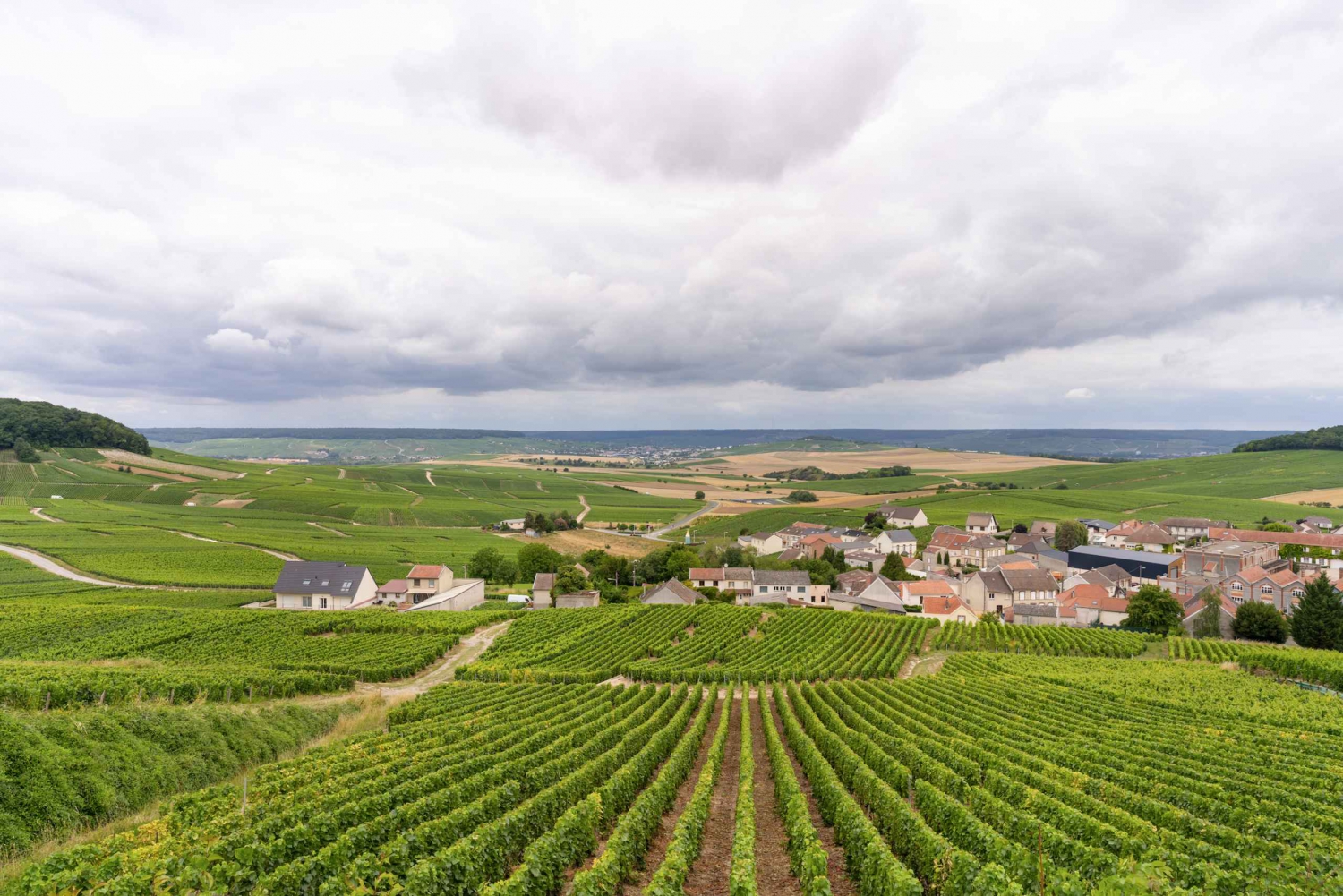 From Paris: Day Trip to Champagne with 8 Tastings & Lunch