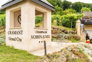 From Paris: Day Trip to Champagne with 8 Tastings & Lunch