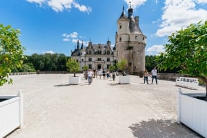 From Paris: Loire Valley Castles Day Trip With Wine Tasting