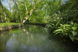 From Paris: Monet Garden & Giverny Bike Tour and Picnic Stop