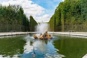 Da Parigi: Reggia e giardini di Versailles con trasporto