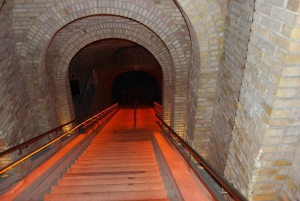 From Paris: Private Champagne tour, Veuve Clicquot and more