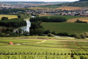 From Paris: Private Champagne tour, Veuve Clicquot and more