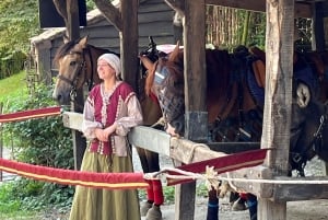 From Paris: Provins Medieval Town Day Trip