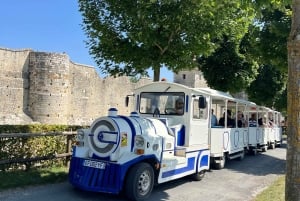 From Paris: Provins Medieval Town Day Trip