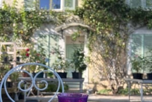 From Paris: Provins Medieval Town Day Trip