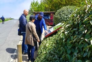 From Paris: Rouen, Etretat & Honfleur Private Day Trip