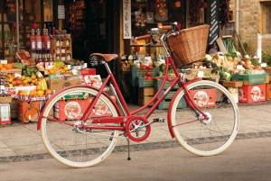 From Paris: Skip-the-Line Palace of Versailles Bike Tour