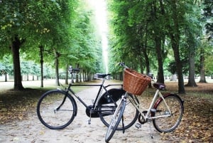 From Paris: Skip-the-Line Palace of Versailles Bike Tour