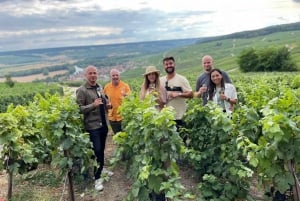 From Paris: Small-Group Champagne Tour with 3-Course Lunch