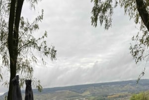 From Paris: Small-Group Champagne Tour with 3-Course Lunch