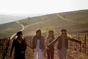 From Paris: Small-Group Champagne Tour with 3-Course Lunch