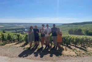 From Paris: Small-Group Champagne Tour with 3-Course Lunch
