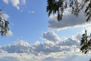 From Paris: Small-Group Champagne Tour with 3-Course Lunch