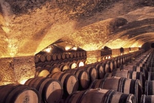 From Paris: Small-Group Champagne Tour with 3-Course Lunch