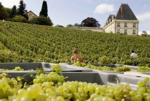 From Paris: Small-Group Champagne Tour with 3-Course Lunch